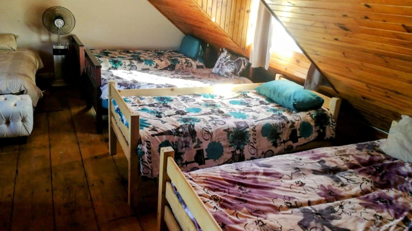 Keedols Inn & Backpackers クニスナ エクステリア 写真